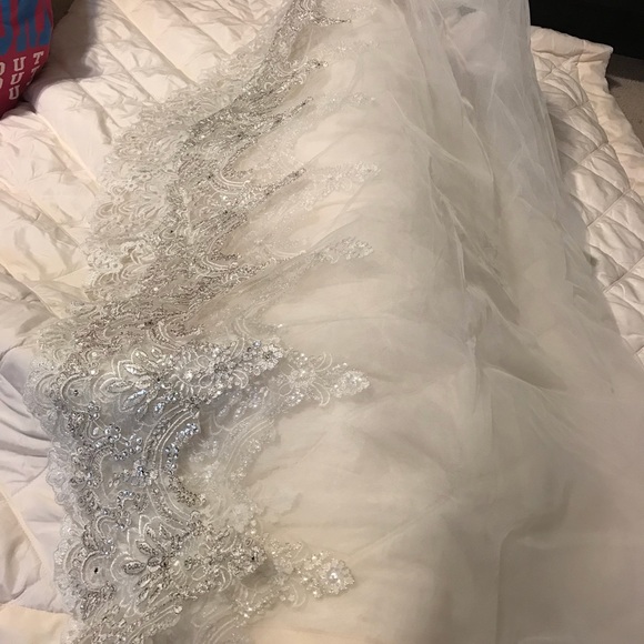 Bridal vail - Picture 4 of 4